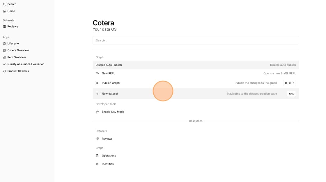 Homepage showing the New Data Set button